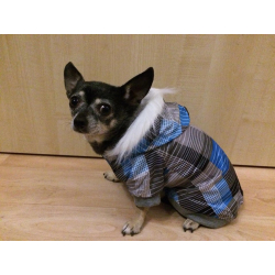 Zimní bunda pro psa kostkovaná modrá - vel. XL