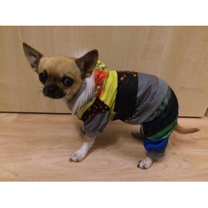 Zimní kombinéza pro psa modrá - vel. S