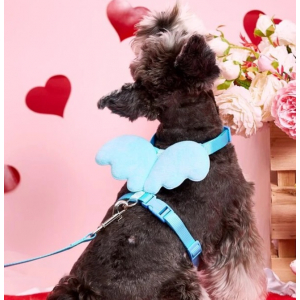Modrý postroj pro psa s vodítkem vel. S/M
