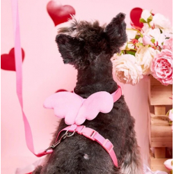 Růžový postroj pro psa s vodítkem vel. S/M